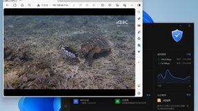 贝锐蒲公英异地组网，无需公网IP远程直连NAS、私有云