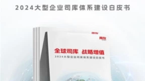 《2024大型企业司库体系建设白皮书》解读