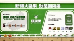 疆果果坚守产地优势，引领健康零食赛道新潮流
