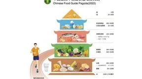 营养周与节能周交汇，植物基的双重可持续探索