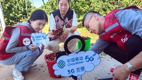 北京移动5G网络助力樱桃节直播带货