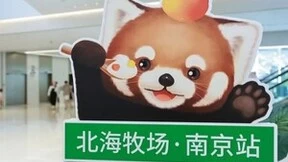元气森林北海牧场“请你赏‘脸’”快闪店亮相南京，小熊猫“脸脸”成为品牌萌友