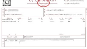 百望云助力云南水企开出首张乐企数电发票