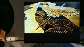 TCL华星深耕高质量发展，以绿色美学共绽环保之光