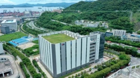 万纬物流榴莲供应链一体化服务 护航榴莲在华之旅