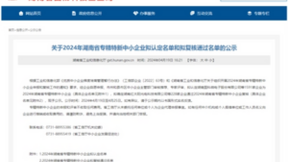 喜报｜云医链获评2024年湖南省“专精特新”中小企业