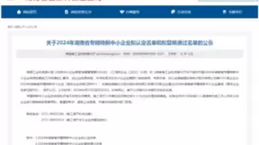 喜报｜云医链获评2024年湖南省“专精特新”中小企业