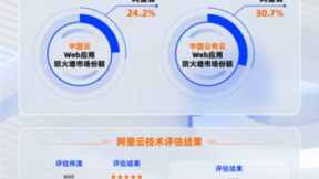 市场份额第一！阿里云WAAP安全产品能力获IDC评测七项满分