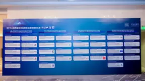 共研算法未来 百望云金盾大模型入选“BPAA全球应用算法模型典范”Top50