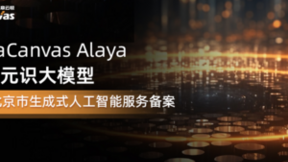 DataCanvas Alaya九章元识大模型通过北京市生成式人工智能服务备案