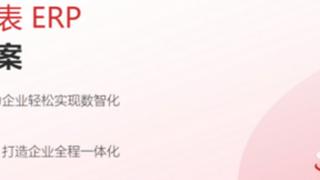 魔方网表让企业拥有一套量身定制并可不断进化的核心业务软件
