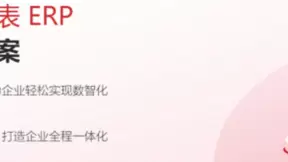 魔方网表让企业拥有一套量身定制并可不断进化的核心业务软件