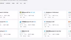 神州问学上架Llama 3.1开源大模型，构建多元大模型生态体系