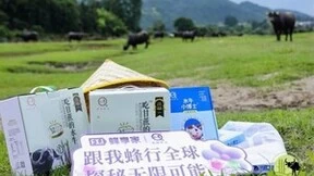 悠纯乳业牵手鲸灵集团战略合作，解锁水牛散养牧场溯源之旅