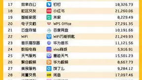 2024上半年中国拍照摄影赛道用户规模第一名：美颜相机