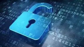 IEEE：对人类意识的重视回归网络安全视野