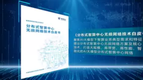 中国电信研究院首发《分布式智算中心无损网络技术白皮书》