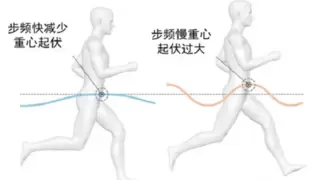 平时如何挑选跑步机？舒华跑步机减震系统获中国体育科学学会专家认可