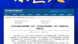 国家级荣誉丨Style3D获选专精特新“小巨人”