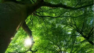 价值共创撬动产业增量，用友交出一份共赢的“生态答卷”