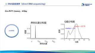 重塑测序版图，今是科技全新一代“边合成边纳米孔测序技术”震撼升级