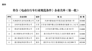 雅迪率先引领电动自行车行业 打造更高质量的行业门槛