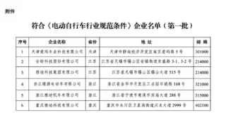 雅迪率先引领电动自行车行业 打造更高质量的行业门槛