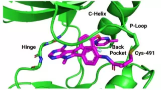 如CGI一般的分子动力学，让科学家看到了3D渲染后的分子运动「影片」