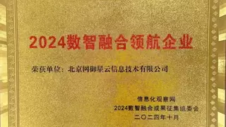 荣耀时刻 | 网御星云斩获2024数智融合领航企业！