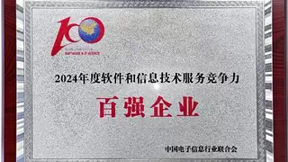 “津”彩空天，中科星图入选软件和信息技术服务竞争力百强企业