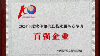 中建材信息荣获“2024年度软件和信息技术服务竞争力百强企业”