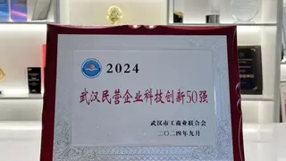 黑芝麻智能入围2024武汉民营企业科技创新50强
