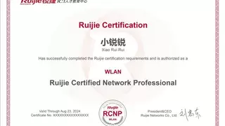 新“技”遇，“薪”高度——锐捷全新服务认证产品发布