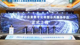 AI赋能 智创未来 2024中国（黄石）工业互联网创新发展大会成功举办