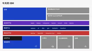 IBM陈旭东：以再次入选世界互联网大会“精品案例“为契机，IBM将继续深耕中国、携手共创AI生产力