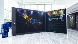 《咫尺幻境·巨幅超微昆虫摄影展》圆满落幕，TCL华星显示科技刷新视界认知