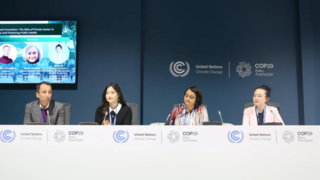 COP29精彩回顾丨阿拉善SEE向全球伙伴分享中国经验