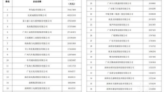 2024广东省制造业500强出炉 华为比亚迪工业富联居前三