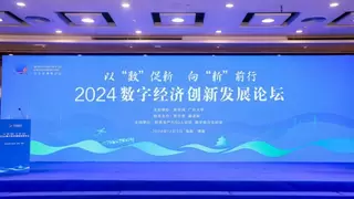 以“数”促“新”！电科金仓出席2024企业家博鳌论坛