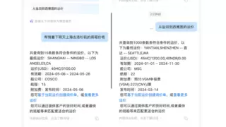 实力领跑！钉钉 x 环世物流入选 IDC 低代码报告最佳实践