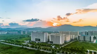 中禾宝桑：以品质赢得市场信赖