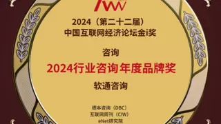 软通咨询斩获“2024行业咨询年度品牌奖”，持续领跑本土咨询赛道