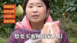 从大山到万家——百度数字人直播如何推动贵州农产品走向全国