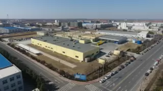 伊纳宝：百年信誉，品质卓越引领宠物食品新时代