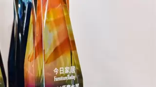 舒达引领智能睡眠新时代：年度突出贡献品牌大奖实至名归！