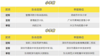2024NeuroMaster年度巅峰对决：科技华章，脑科学智慧火花的终极较量！