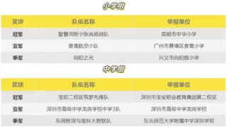 2024NeuroMaster年度巅峰对决：科技华章，脑科学智慧火花的终极较量！