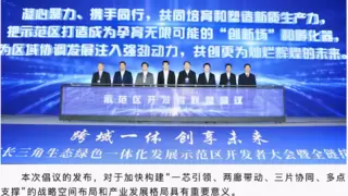 通鼎集团入盟长三角生态绿色一体化发展示范区开发者联盟|沈小平参加开发者大会倡议发布仪式