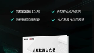 《流程挖掘白皮书》：你的企业数字化转型必备指南？