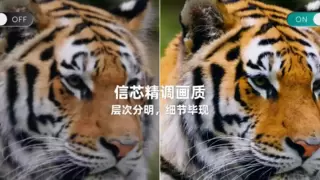 海信系百吋电视销量第一，成国补最畅销品牌